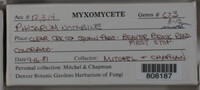Image Associated With the Occurence
